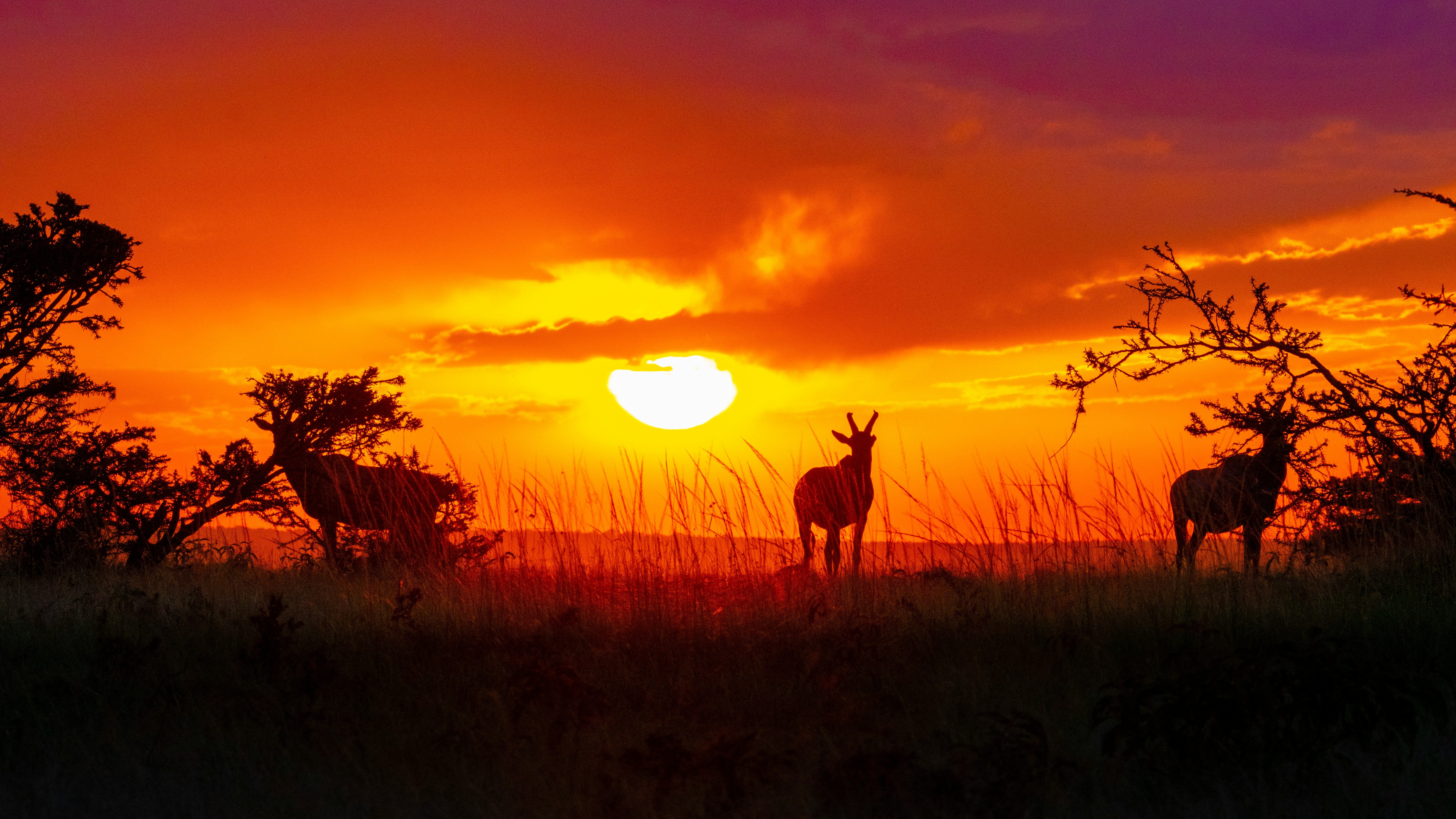 Tarangire National Park