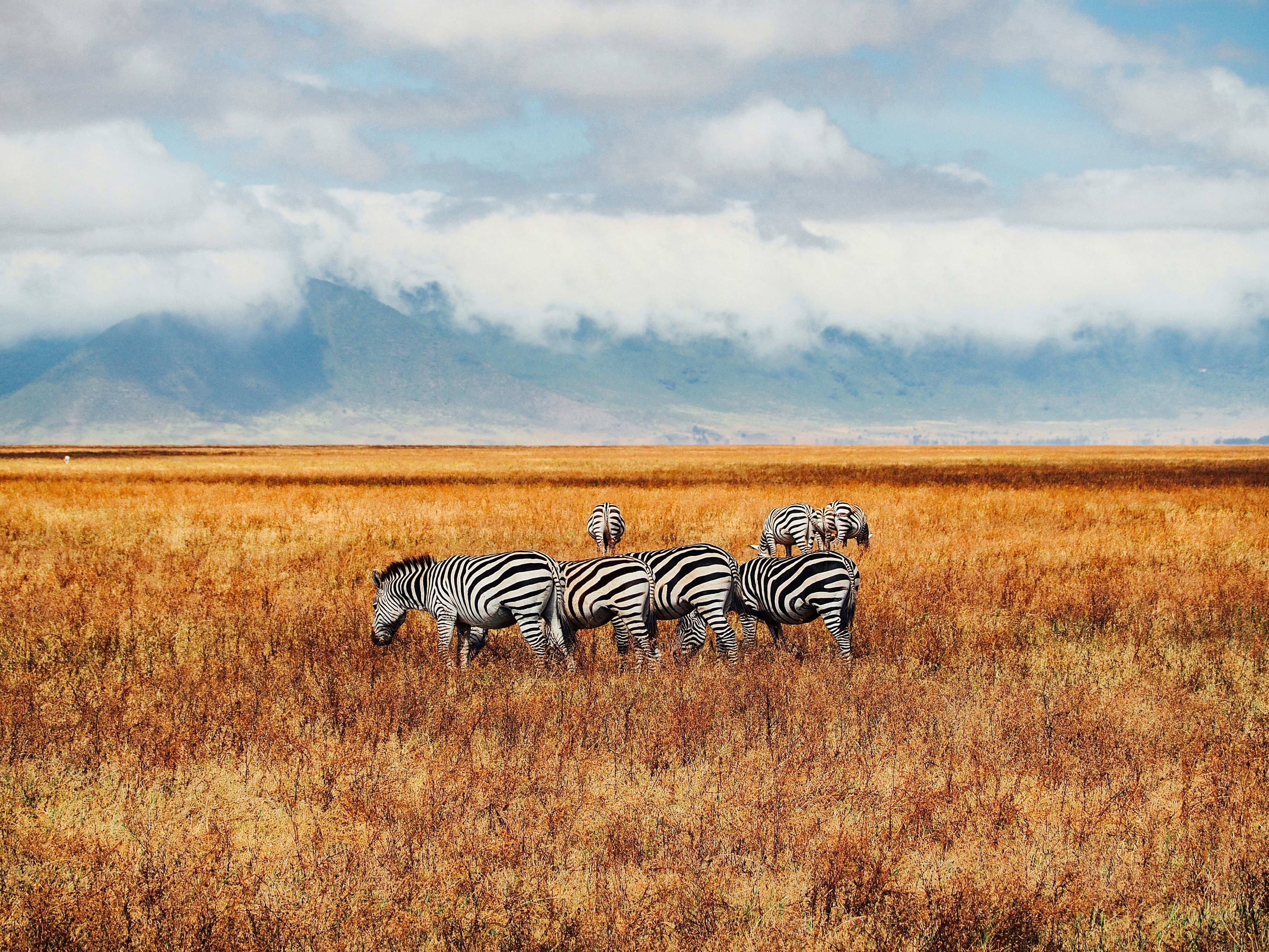 Lake Manyara